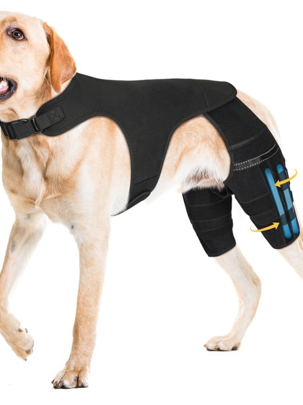 Marnonsis Dog Leg Brace Torn Acl Hind Leg, 4 Stabilizers for Back Leg, Adj XL